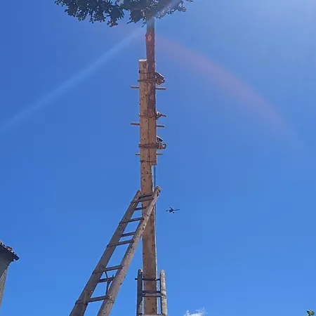 بيت شباب Ambrosiahostel Alessandria del Carretto