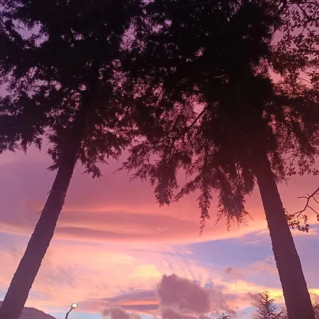 Ambrosiahostel 호스텔