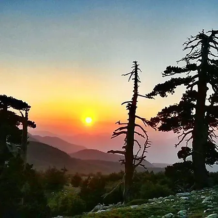 Ambrosiahostel بيت شباب