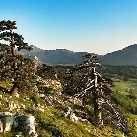 Ambrosiahostel Alessandria del Carretto