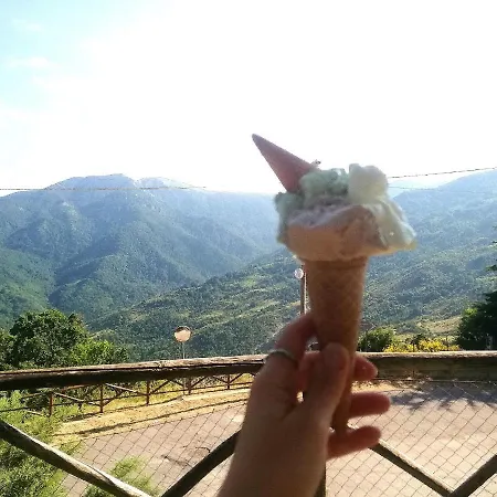 Ambrosiahostel بيت شباب *