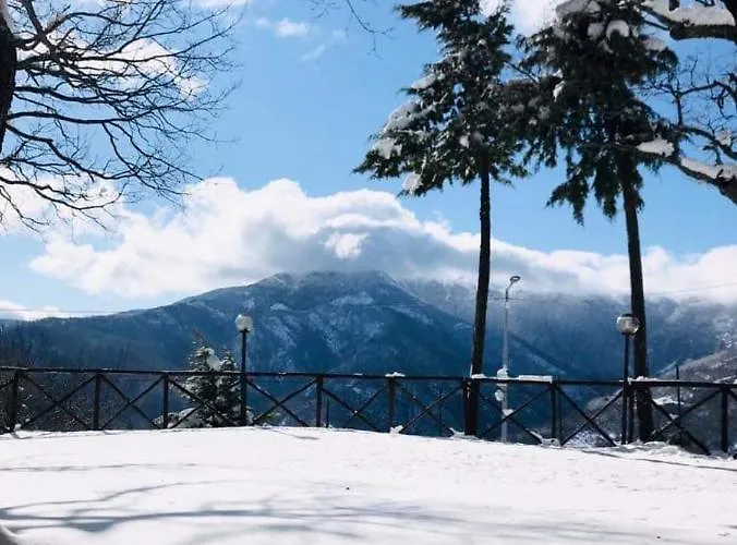 Ambrosiahostel Auberge de jeunesse *