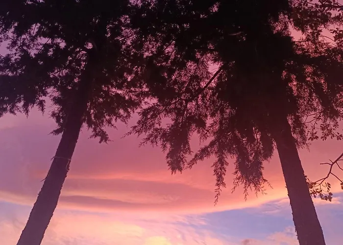 Ambrosiahostel Auberge de jeunesse