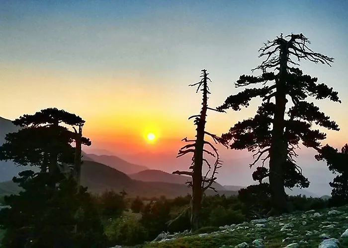 Ambrosiahostel ホステル