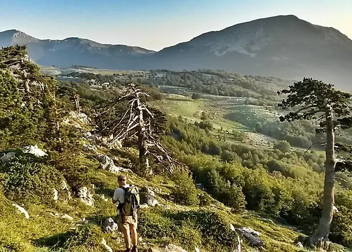 Ambrosiahostel ホステル Alessandria del Carretto